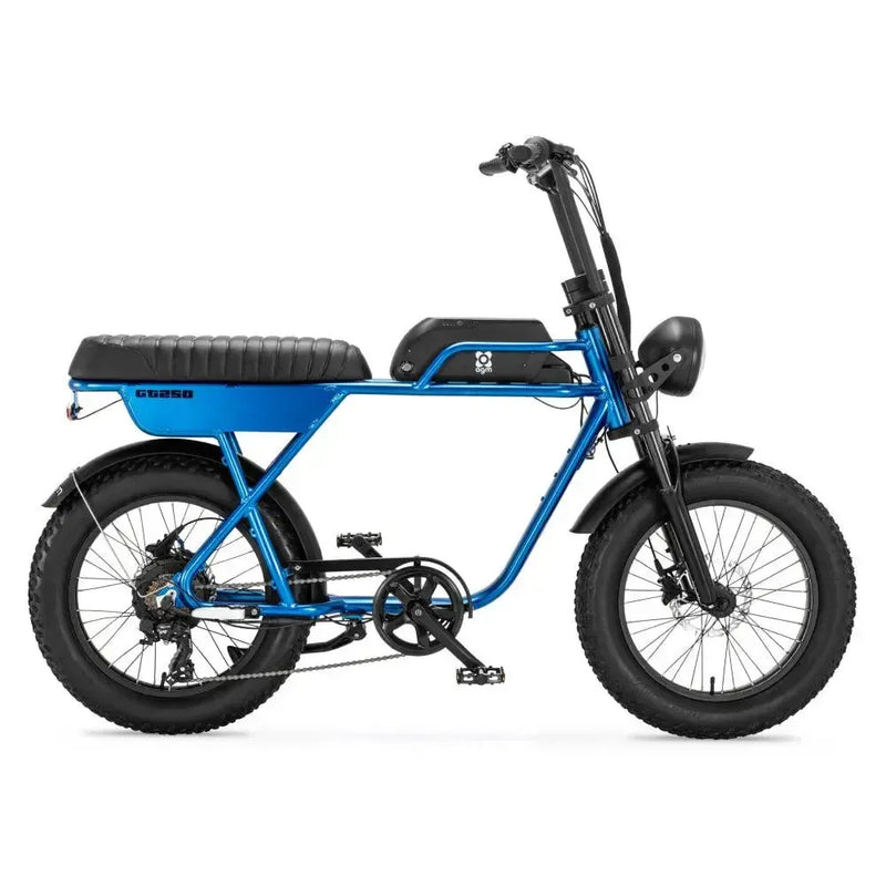 AGM GT250 - Blauw - fatbikeskopen.nl