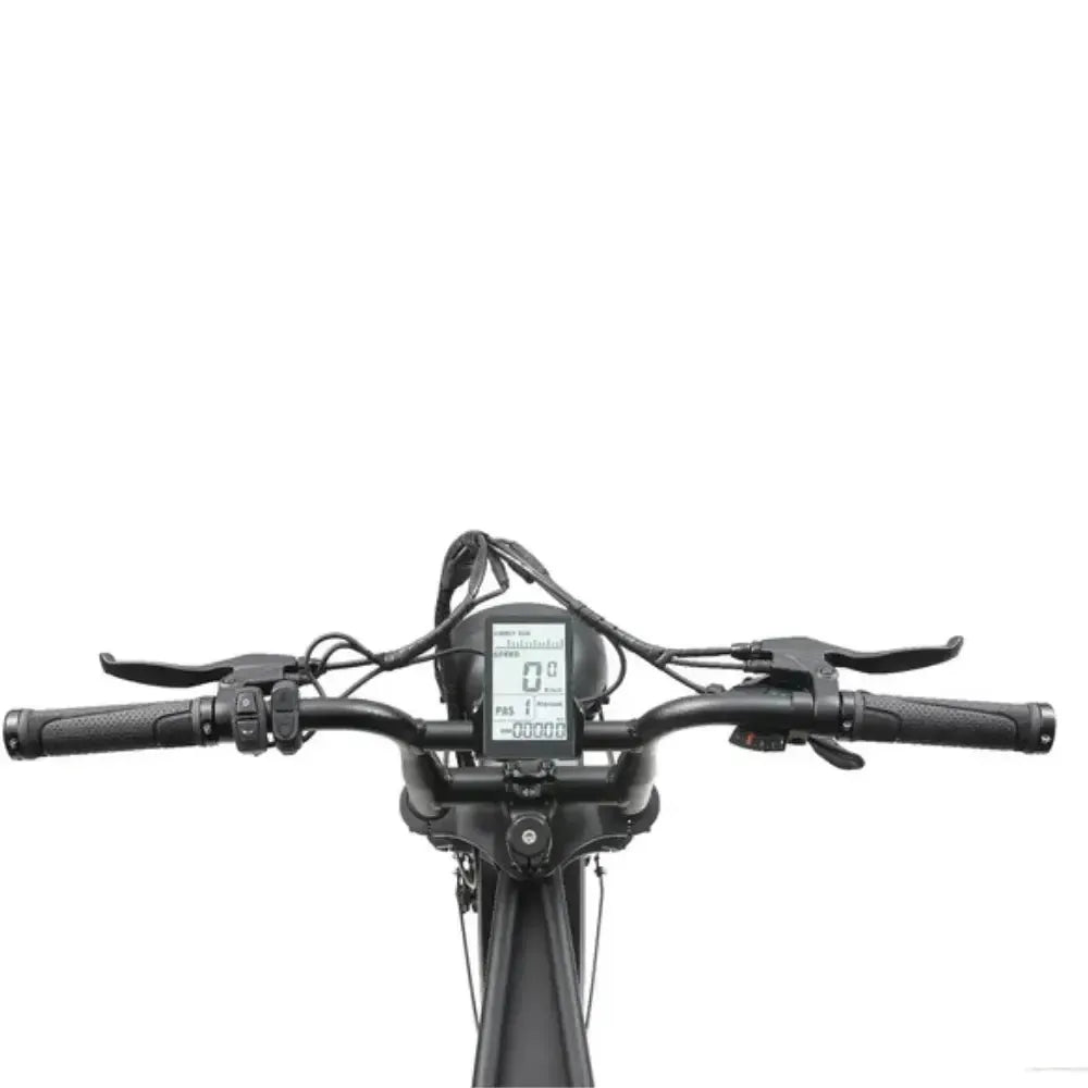 ApeRyder A10 Pro - Zwart - fatbikeskopen.nl