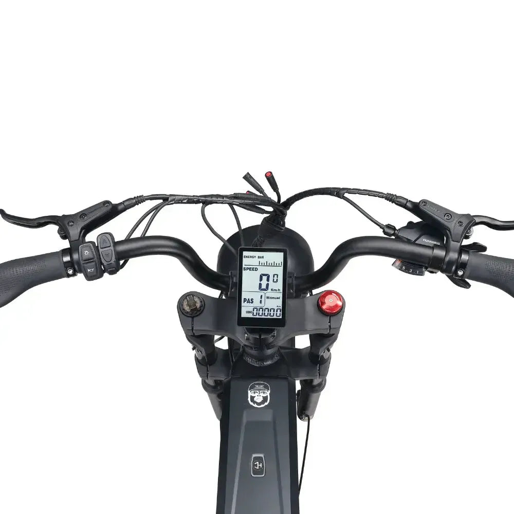 ApeRyder Baboon - Zwart - fatbikeskopen.nl