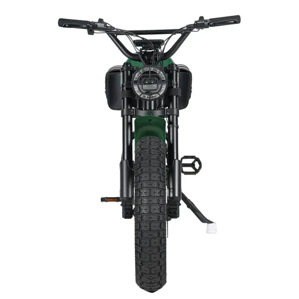 ApeRyder Gibbon - Groen - fatbikeskopen.nl