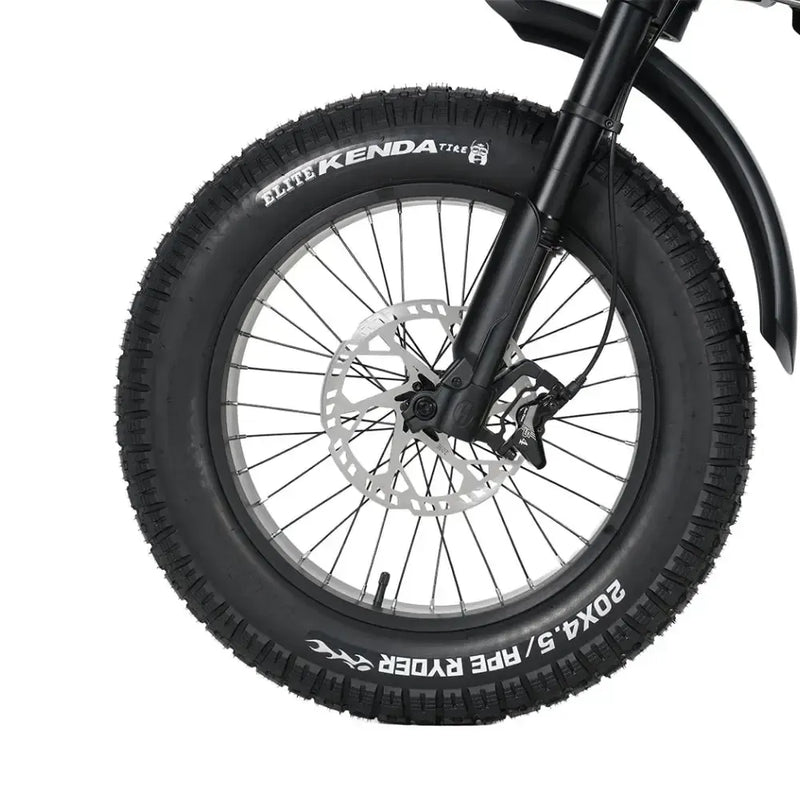 ApeRyder Gibbon - Matt zwart - fatbikeskopen.nl