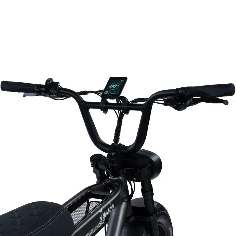 ApeRyder Jambo - Zwart - fatbikeskopen.nl