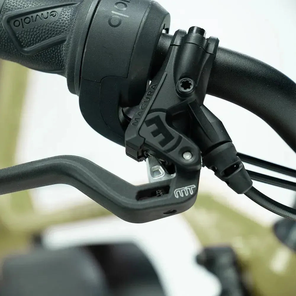 Carlos Compact Basic - Groen - fatbikeskopen.nl