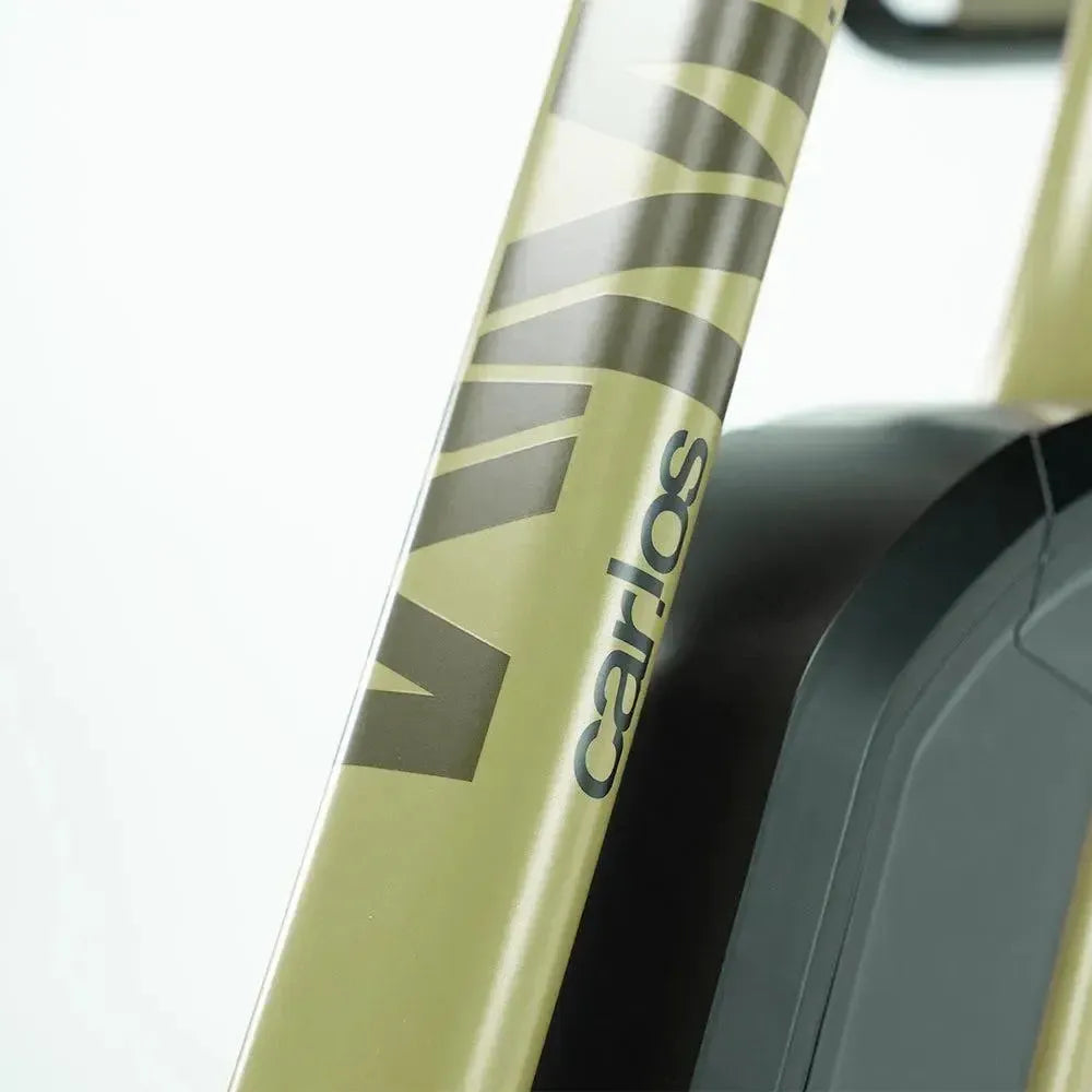 Carlos Compact Basic - Groen - fatbikeskopen.nl