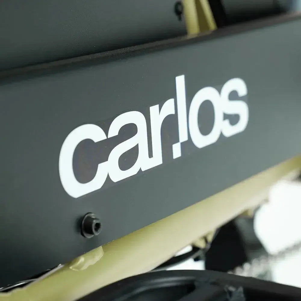 Carlos Compact Basic - Groen - fatbikeskopen.nl