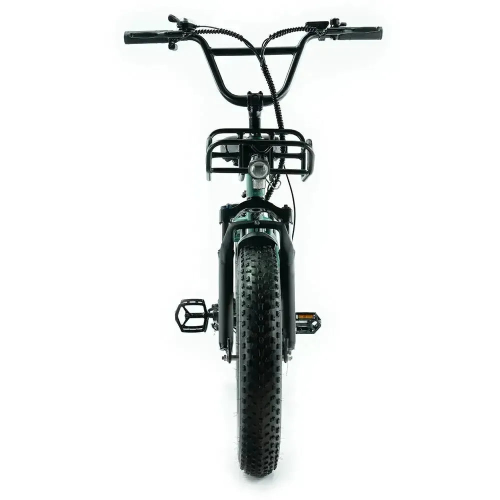 Combi-Deal! - ENGWE L20 Boost - Groen - fatbikeskopen.nl