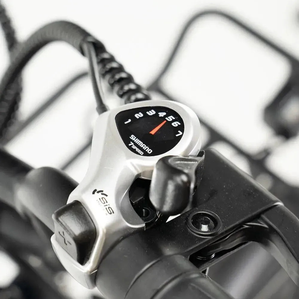 DUO Deal! | ENGWE L20 boost - Zwart - fatbikeskopen.nl