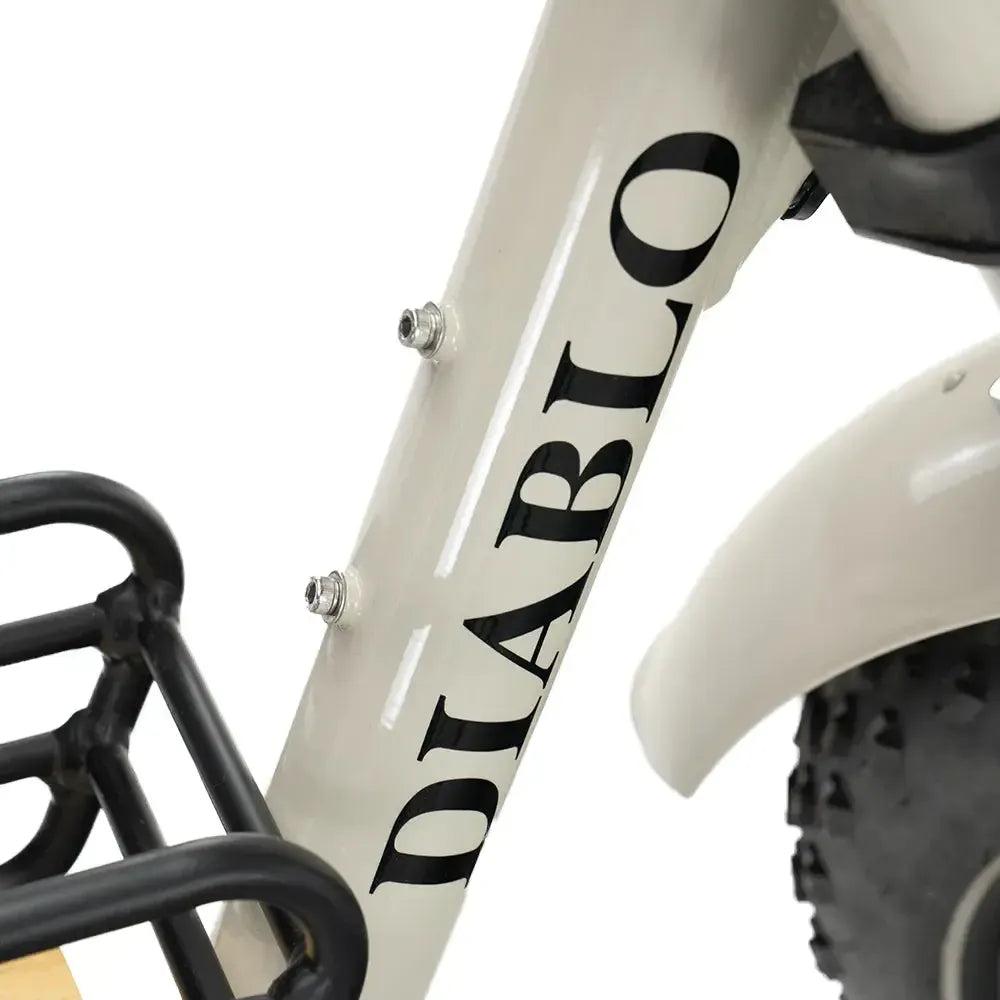 Diablo Zipper - Grijs - fatbikeskopen.nl