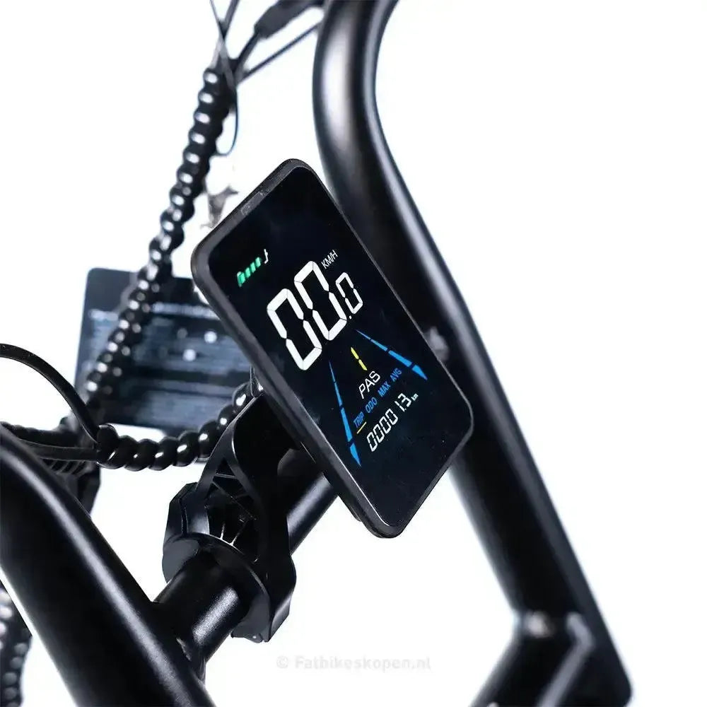 EB2 Pro - Bruin - fatbikeskopen.nl