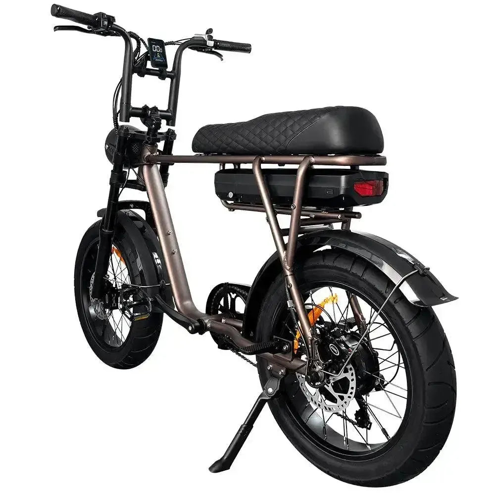 EB2 Pro - Koffie - fatbikeskopen.nl