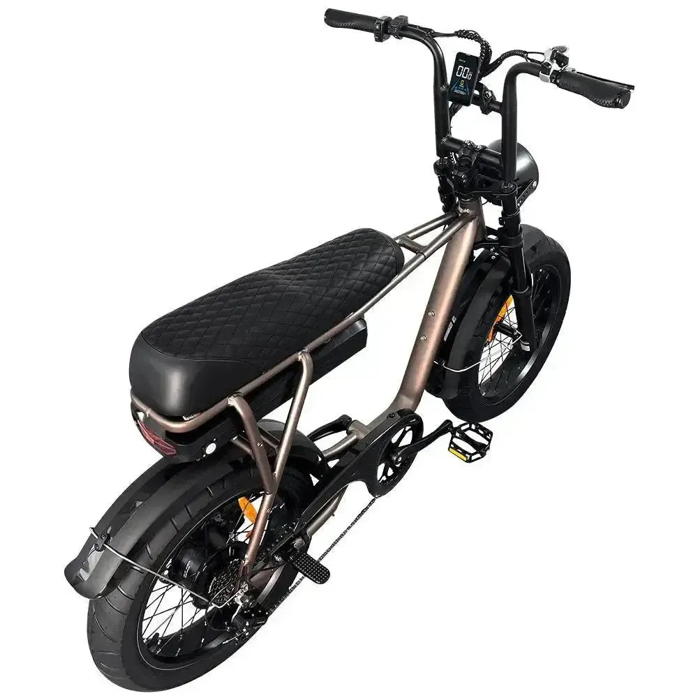 EB2 Pro - Koffie - fatbikeskopen.nl