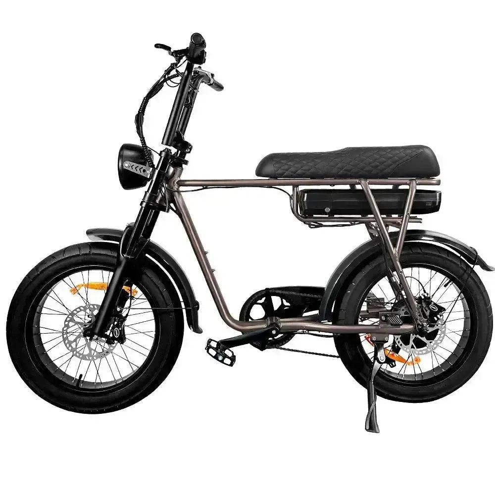 EB2 Pro - Koffie - fatbikeskopen.nl