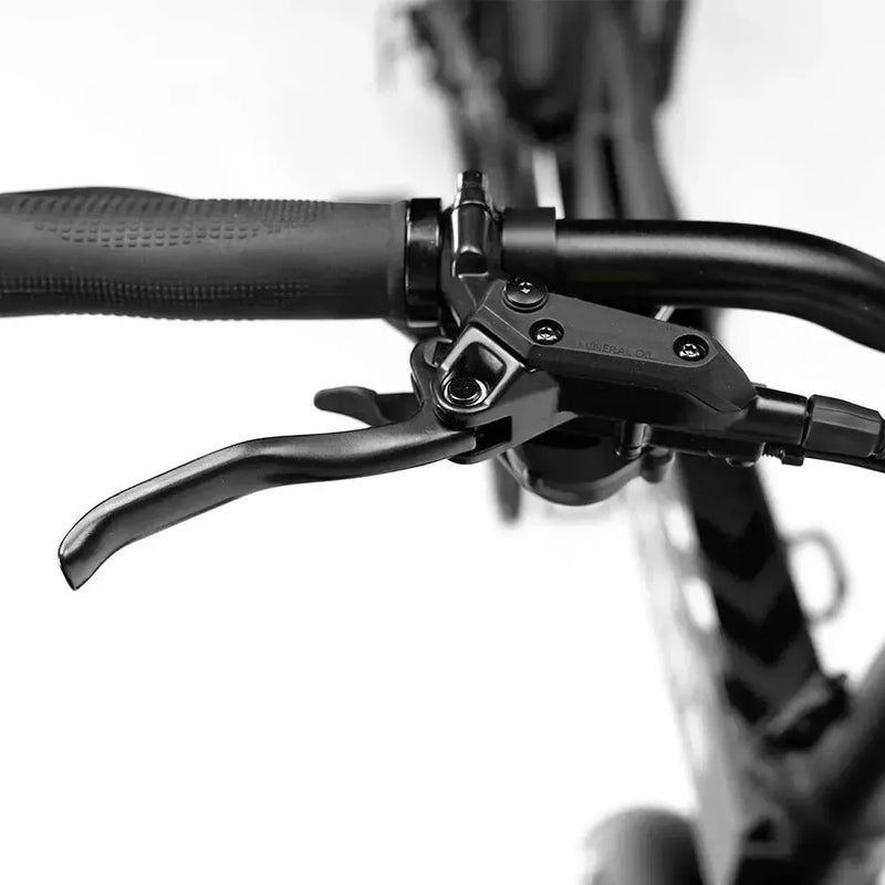 ENGWE Engine Pro 2.0 - Zwart - fatbikeskopen.nl