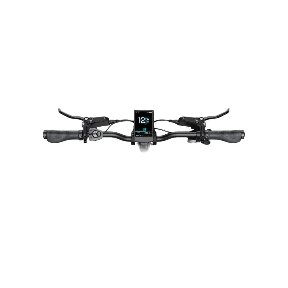 ENGWE L20 3.0 Pro - Champagne - fatbikeskopen.nl
