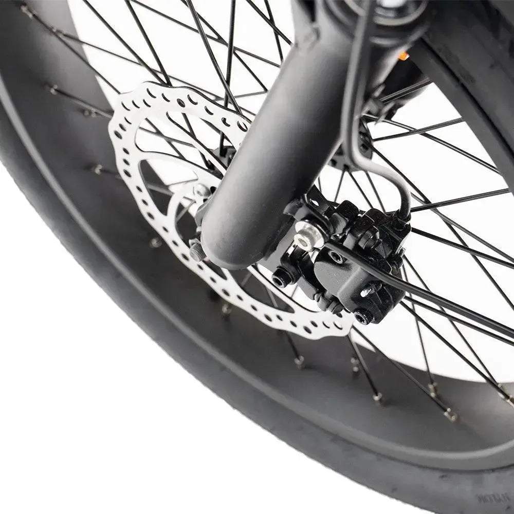 ENGWE LE20 - Dubbele Accu - Grijs - fatbikeskopen.nl