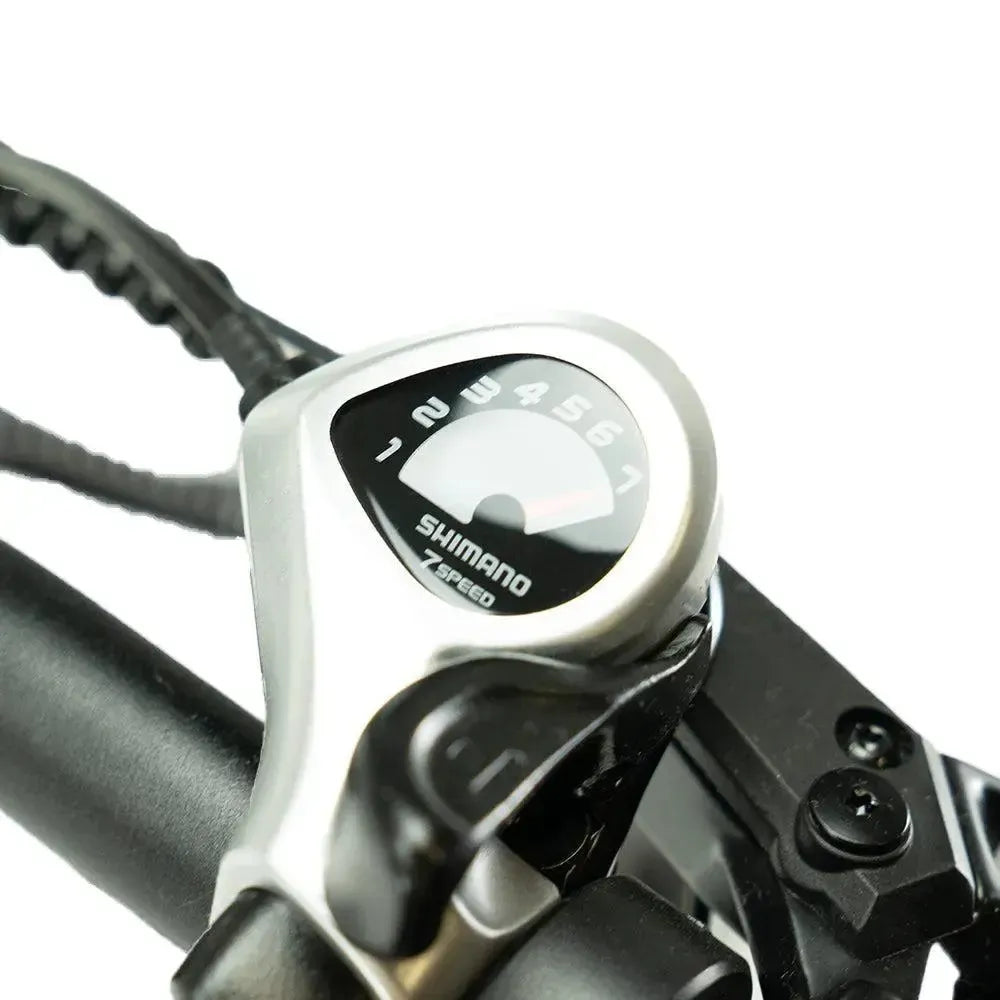 ENGWE LE20 - Longtail - Enkele Accu - Grijs - fatbikeskopen.nl