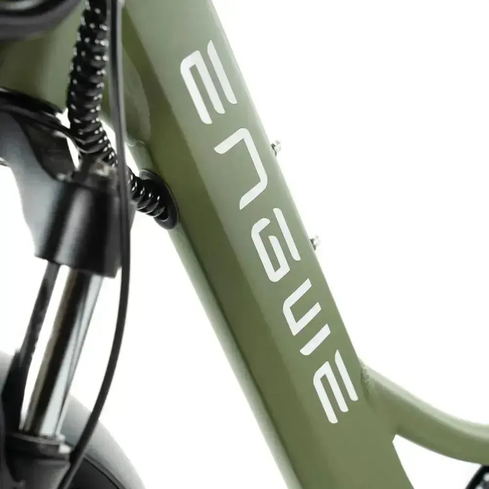 Family-Deal! | ENGWE L20 - Groen - fatbikeskopen.nl