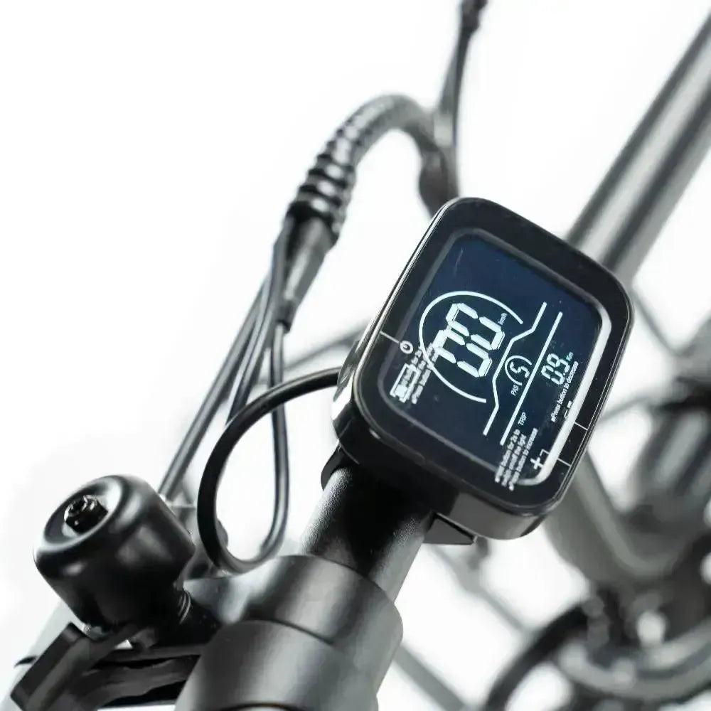 Family-Deal! | ENGWE L20 - Groen - fatbikeskopen.nl