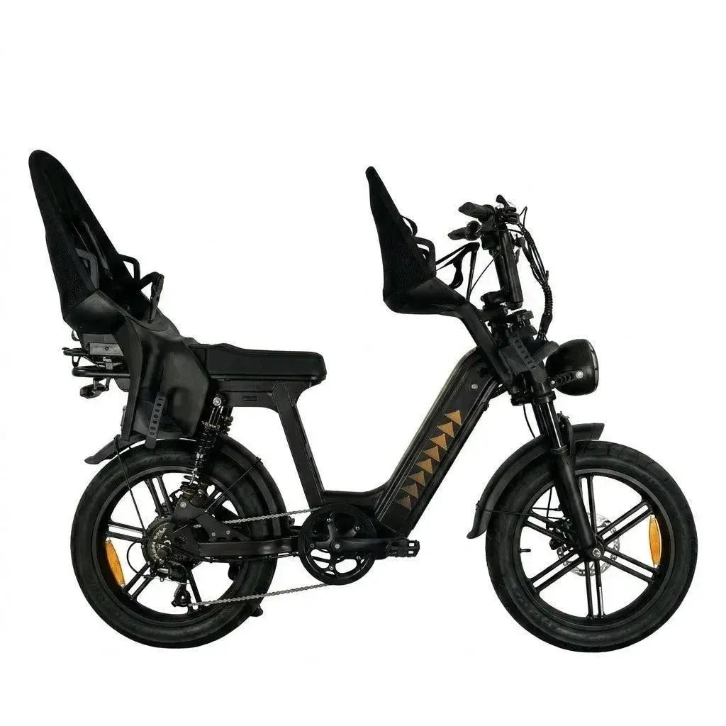Family-Deal! | V20 Comfort Pro - Zwart - fatbikeskopen.nl