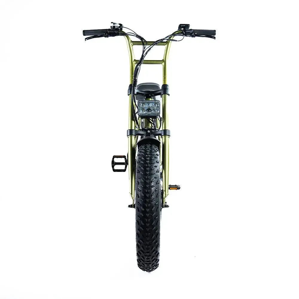 Grandeux Xplore - Groen - fatbikeskopen.nl