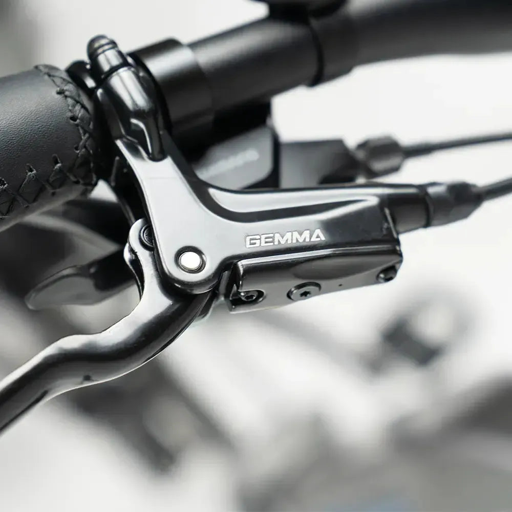 JOBOBIKE Romer Pro - Grijs - fatbikeskopen.nl