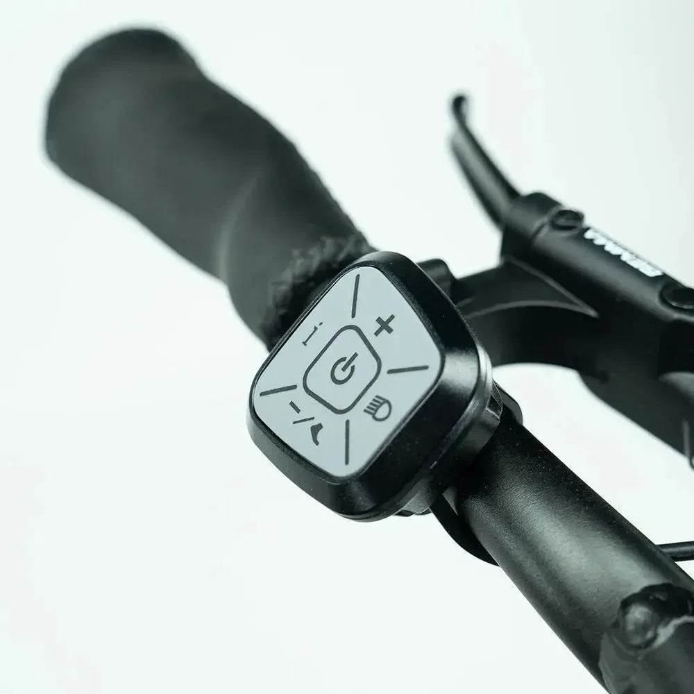 JOBOBIKE Transer - Longtail - Groen - fatbikeskopen.nl
