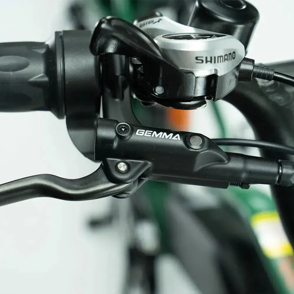JOBOBIKE Transer - Longtail - Zilvergrijs - fatbikeskopen.nl