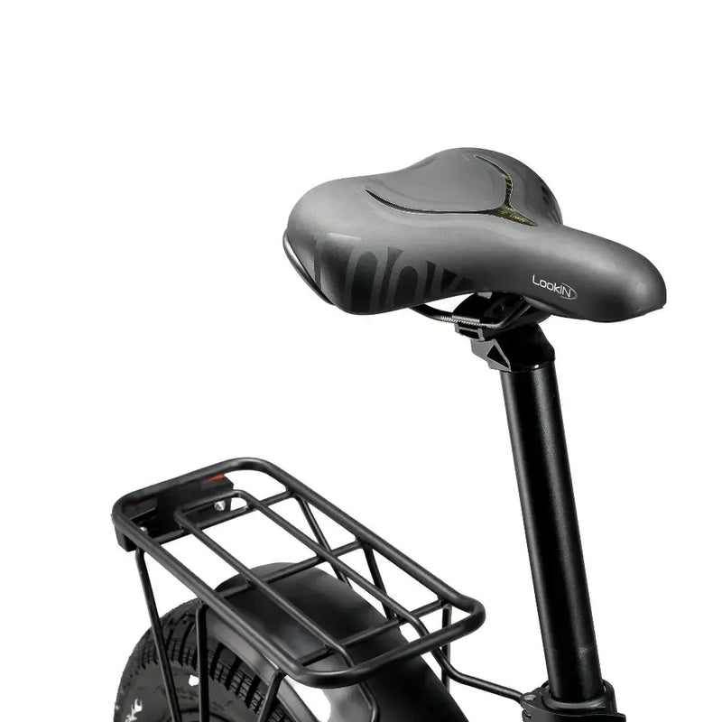 RKS La rose - Antrasiet - fatbikeskopen.nl