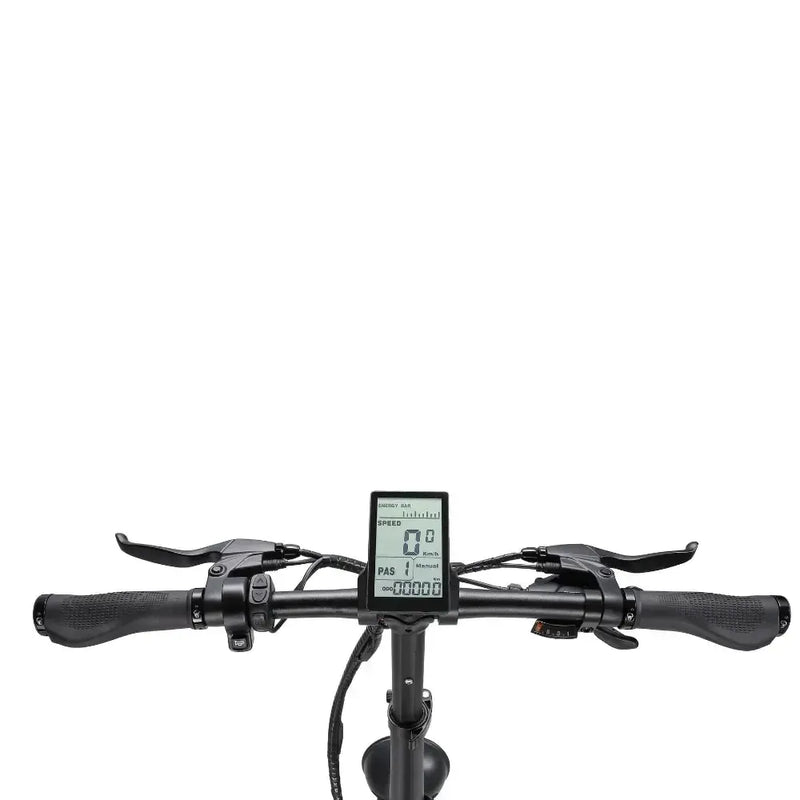 RKS La rose - Antrasiet - fatbikeskopen.nl