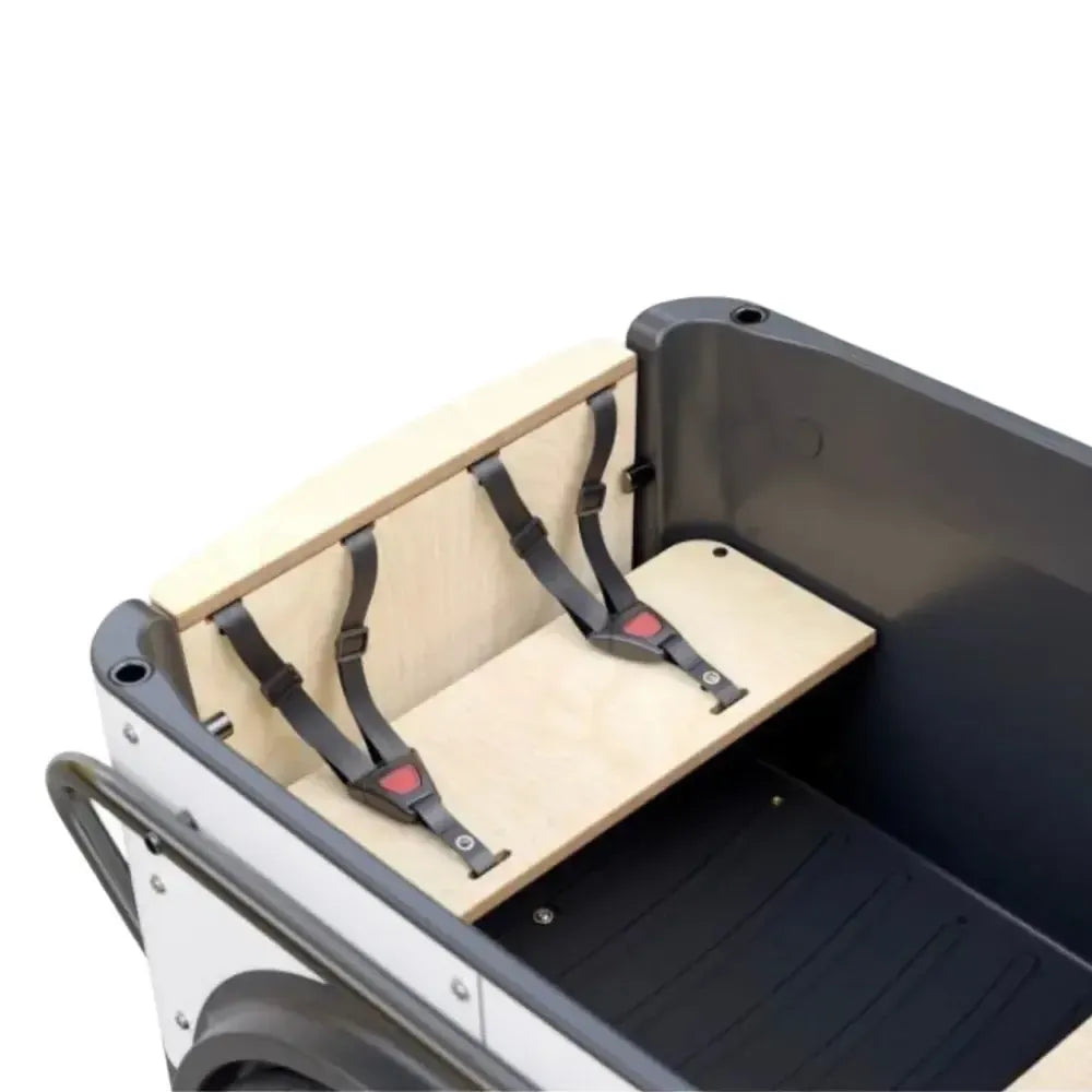 Royal Cargo Bike 3W Eco - Groen - fatbikeskopen.nl