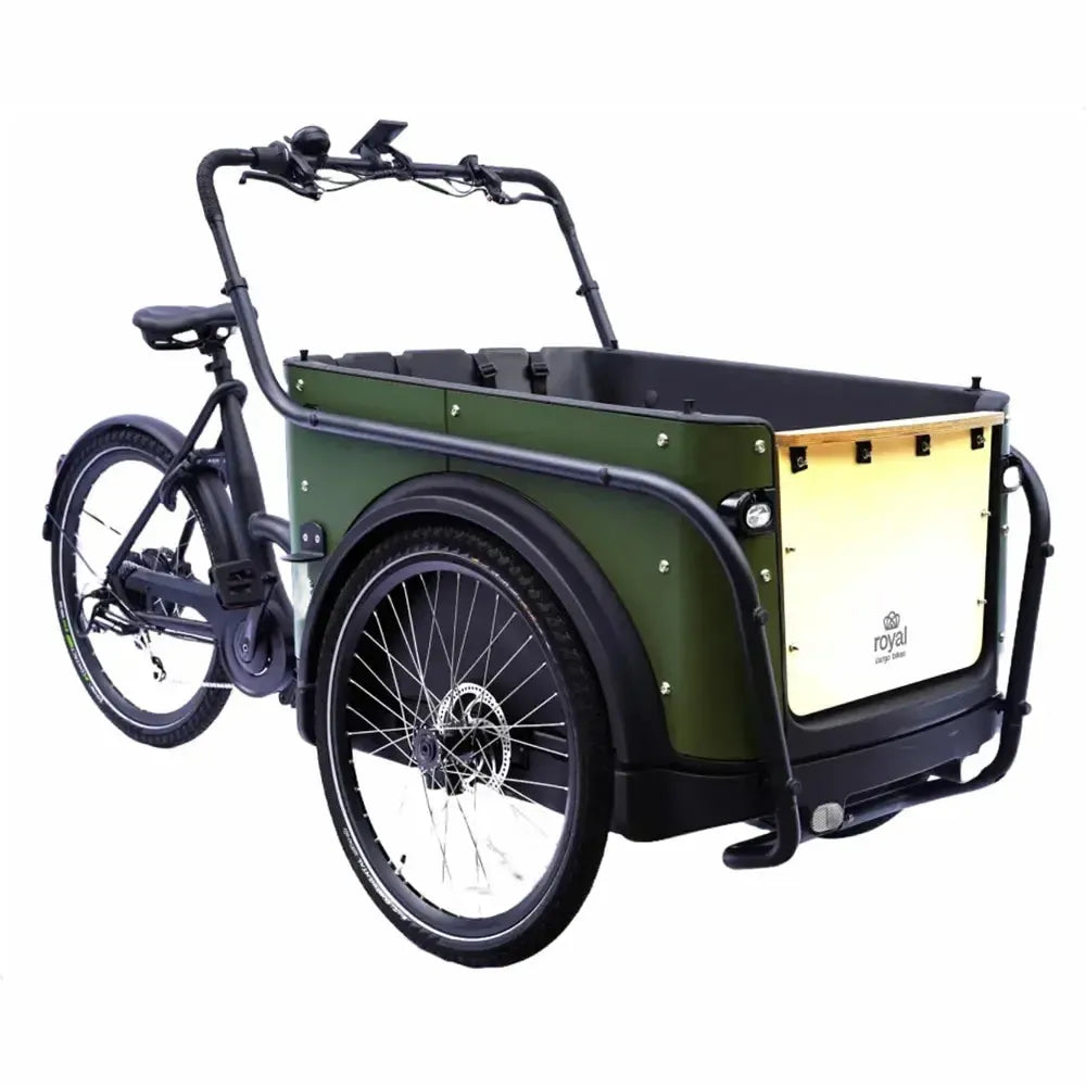 Royal Cargo Bike 3W Eco - Groen - fatbikeskopen.nl