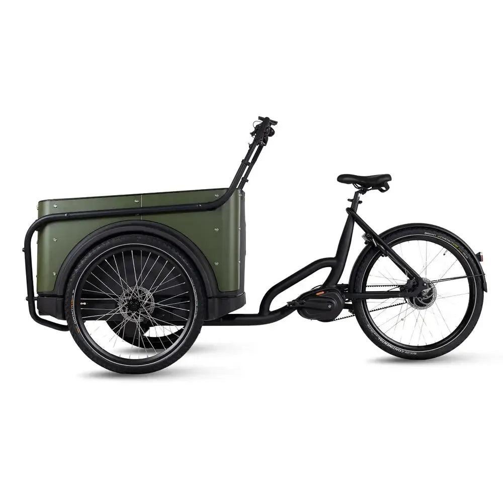 Royal Cargo Bike 3W Premium Plus - Groen - fatbikeskopen.nl
