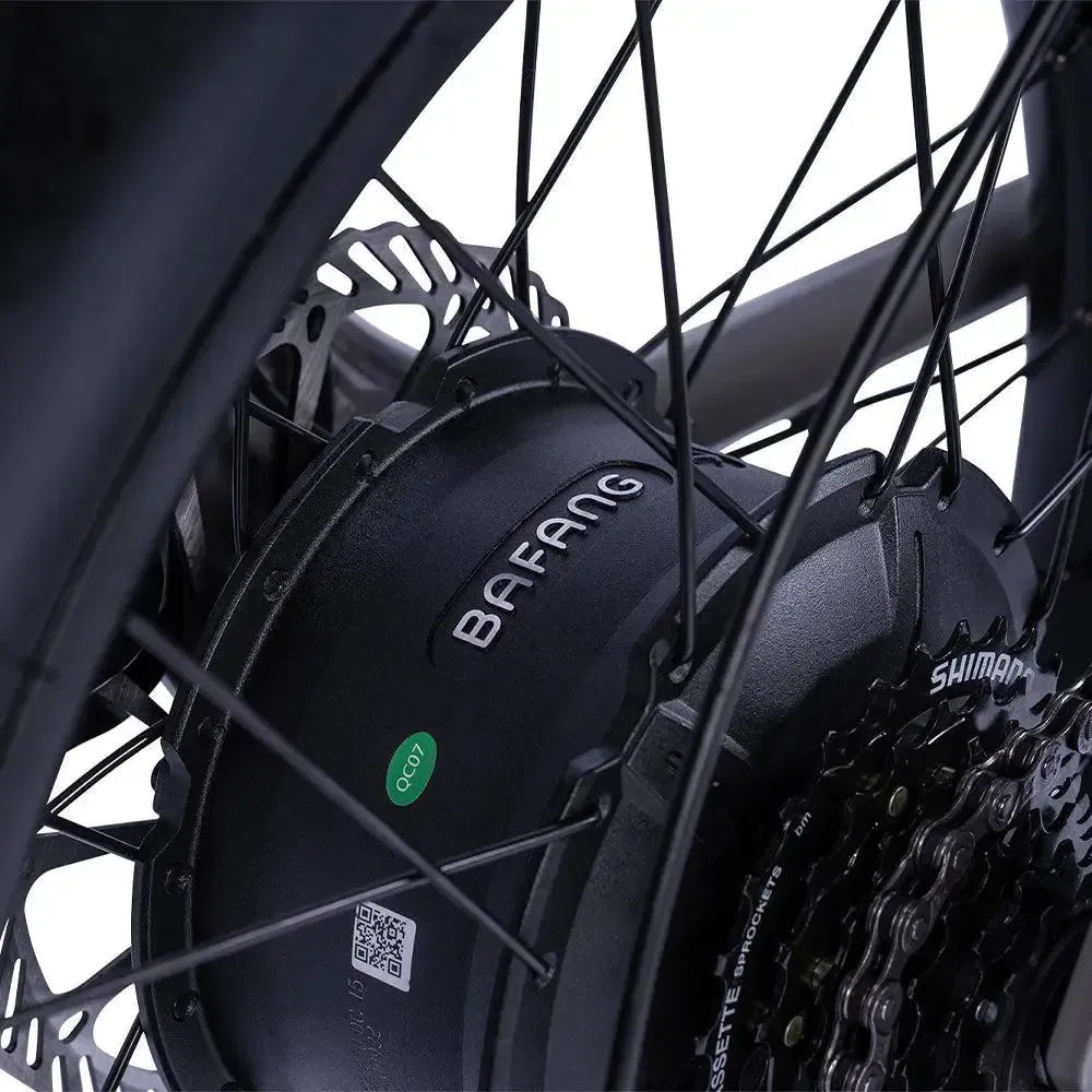 Ruff Cycles Lil'Buddy Edge - Grijs - fatbikeskopen.nl