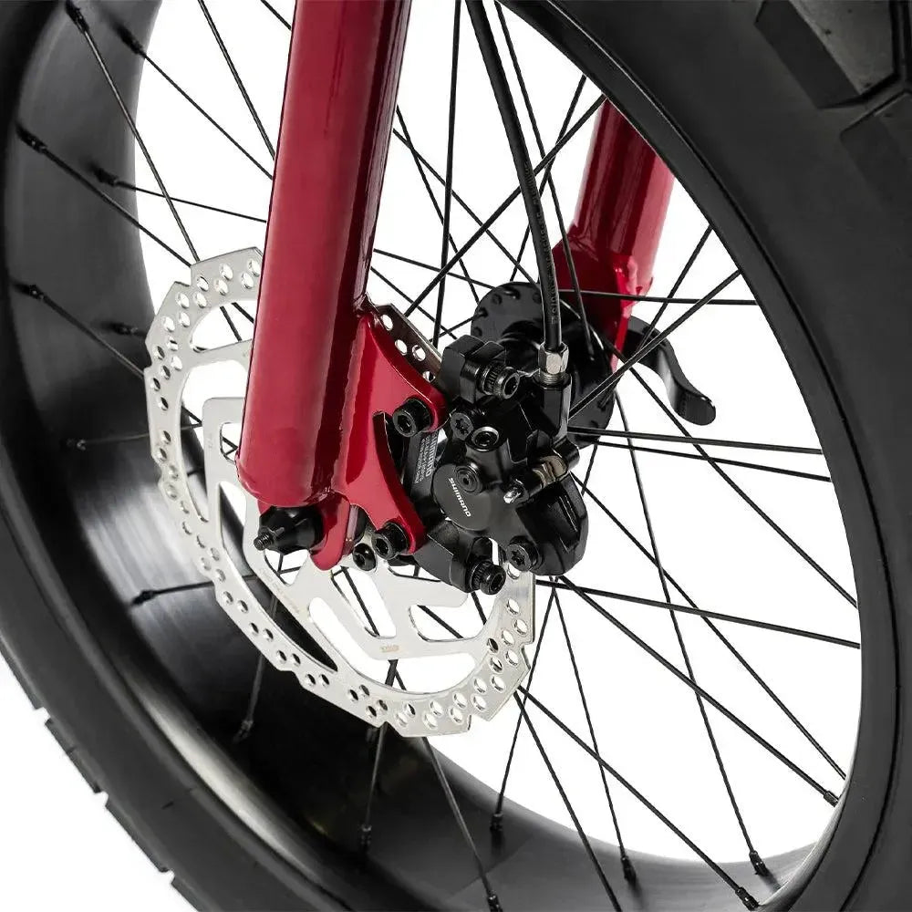 Ruff Cycles Lil'Missy - Kissy - fatbikeskopen.nl
