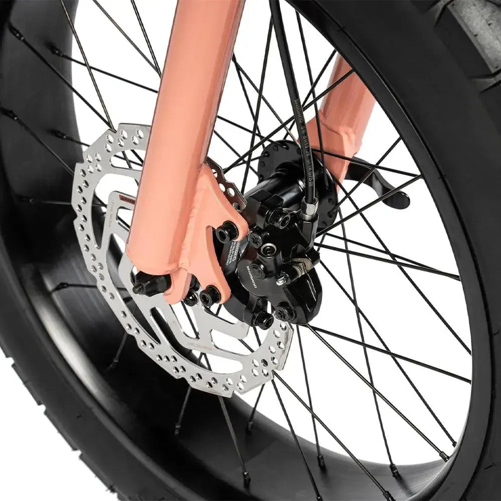 Ruff Cycles Lil'Missy - Spring tan - fatbikeskopen.nl