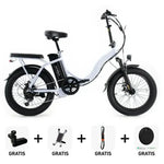 SUPER Deal | Windgoo E20 - Lichtpaars - fatbikeskopen.nl