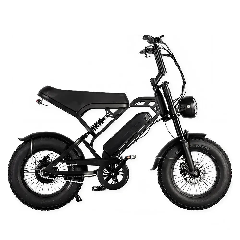 V20 Pro Mini (Spaken) - Zwart - fatbikeskopen.nl