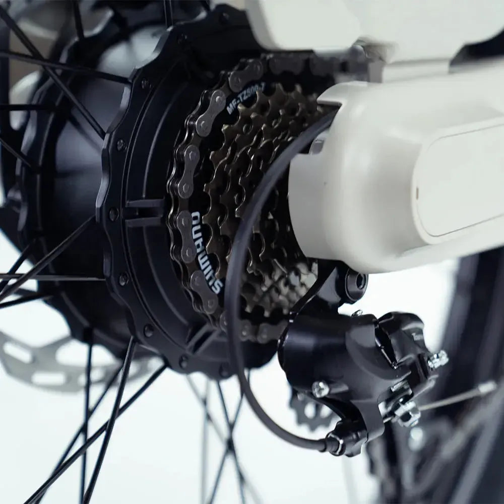 Vogue Wonder - Longtail - Grijs - fatbikeskopen.nl
