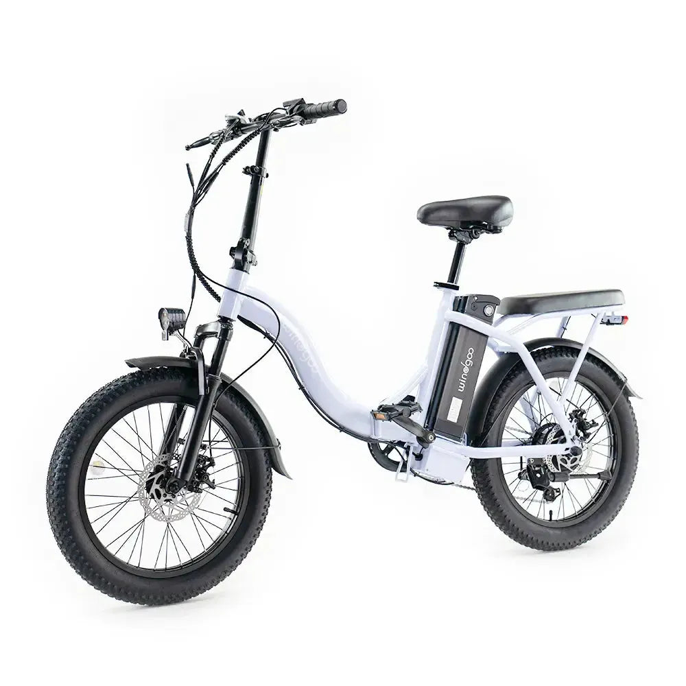 Windgoo E20 - Lichtpaars - fatbikeskopen.nl