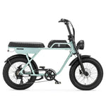 AGM GT250 - Grijs - fatbikeskopen.nl