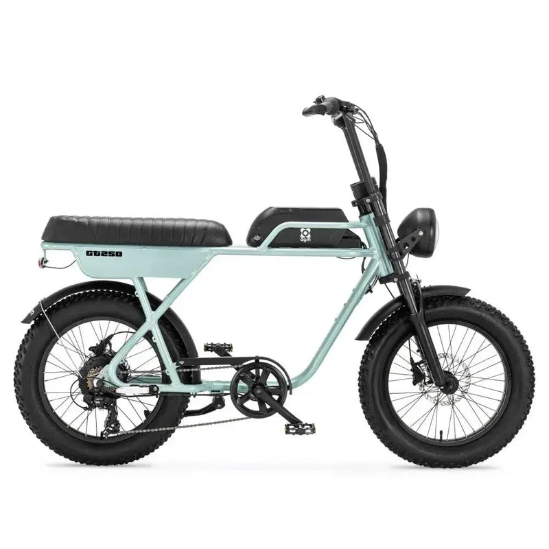 AGM GT250 - Grijs - fatbikeskopen.nl