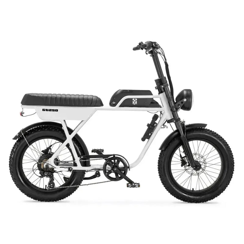 AGM GT250 - Wit - fatbikeskopen.nl