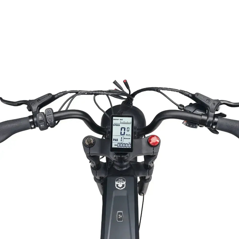 ApeRyder Baboon - Zand - fatbikeskopen.nl