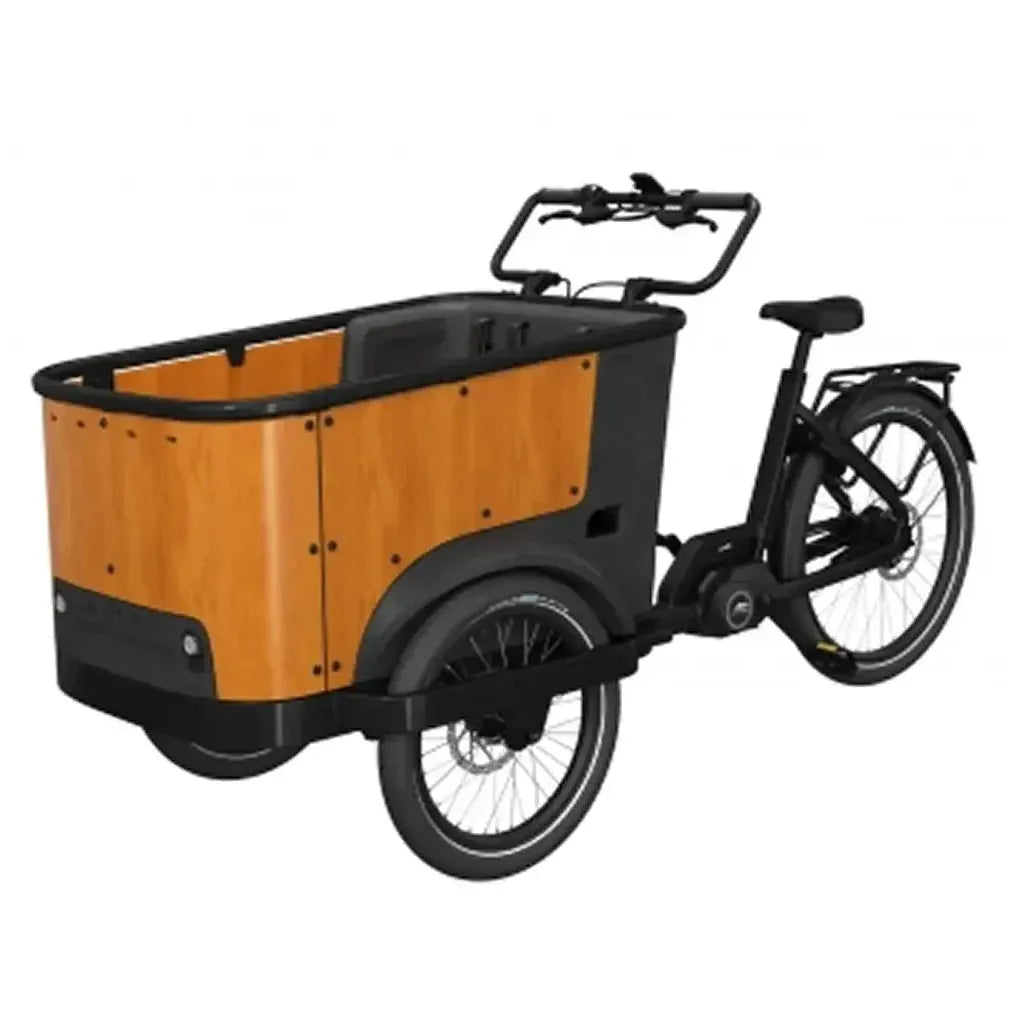 Cangoo Buckle Up - Zwart - fatbikeskopen.nl
