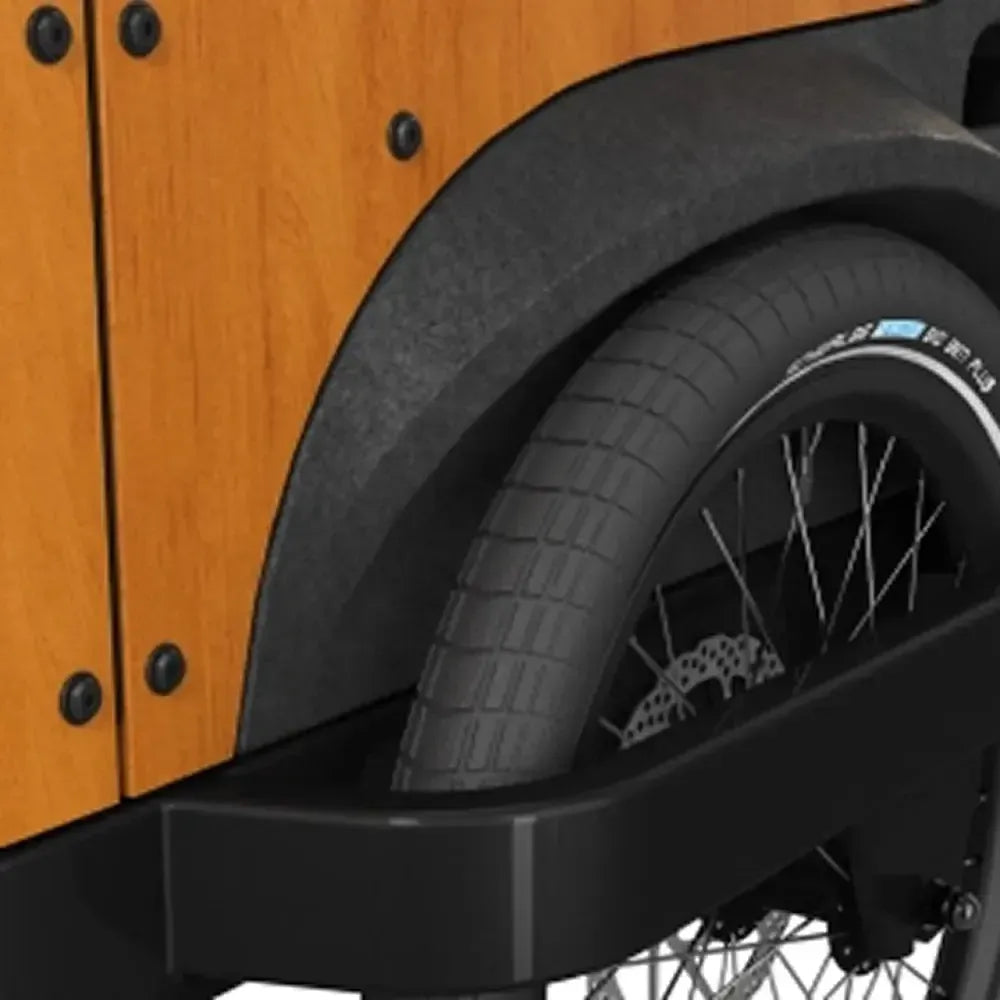 Cangoo Buckle Up - Zwart - fatbikeskopen.nl