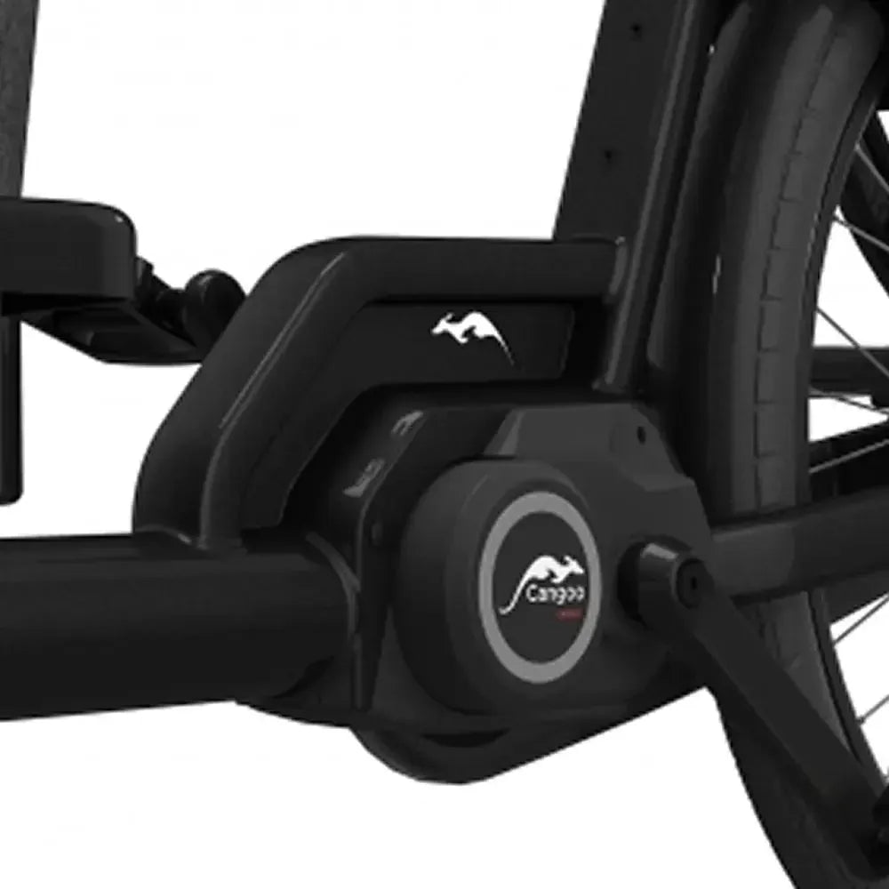 Cangoo Buckle Up - Zwart - fatbikeskopen.nl