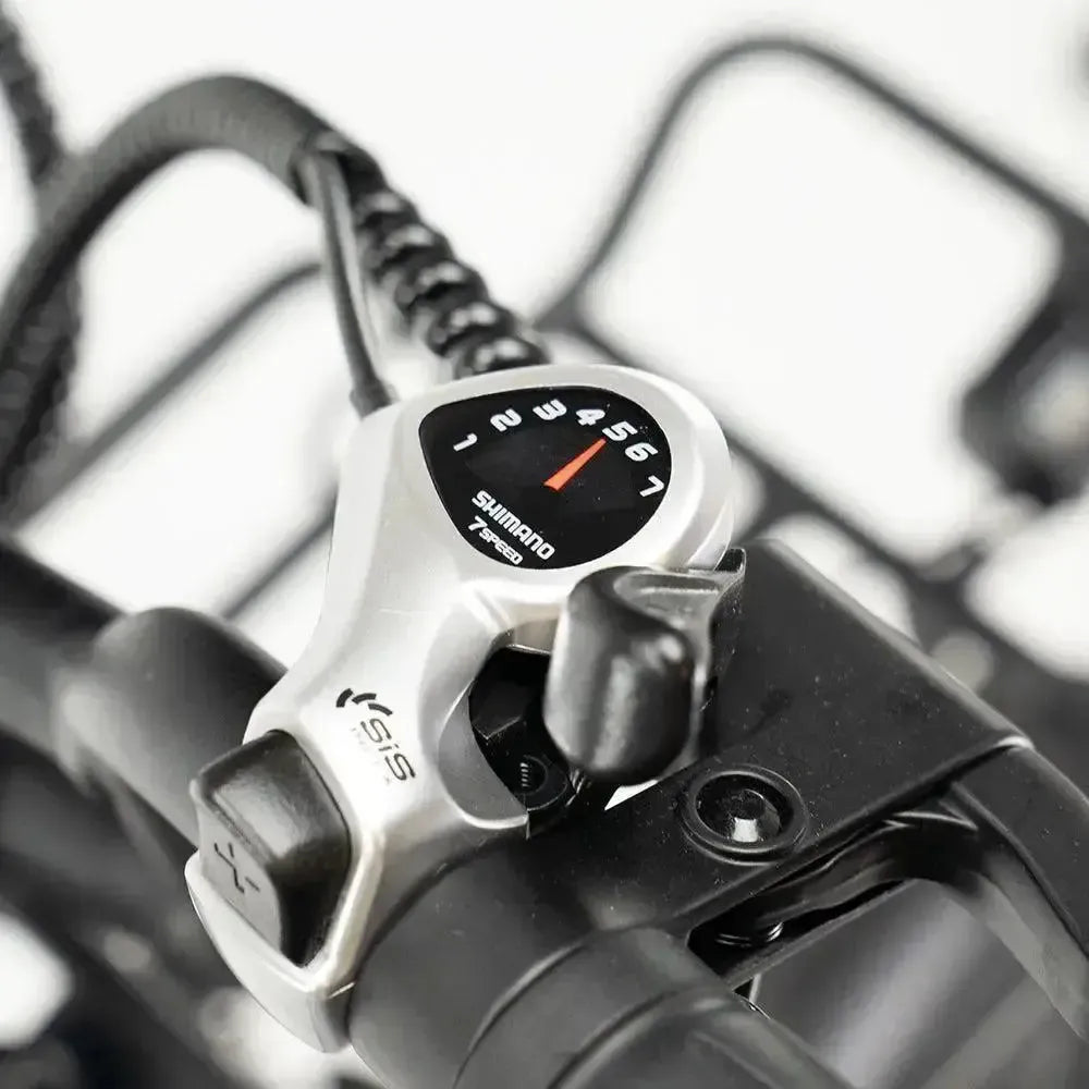 Combi-Deal! - ENGWE L20 Boost - Groen - fatbikeskopen.nl