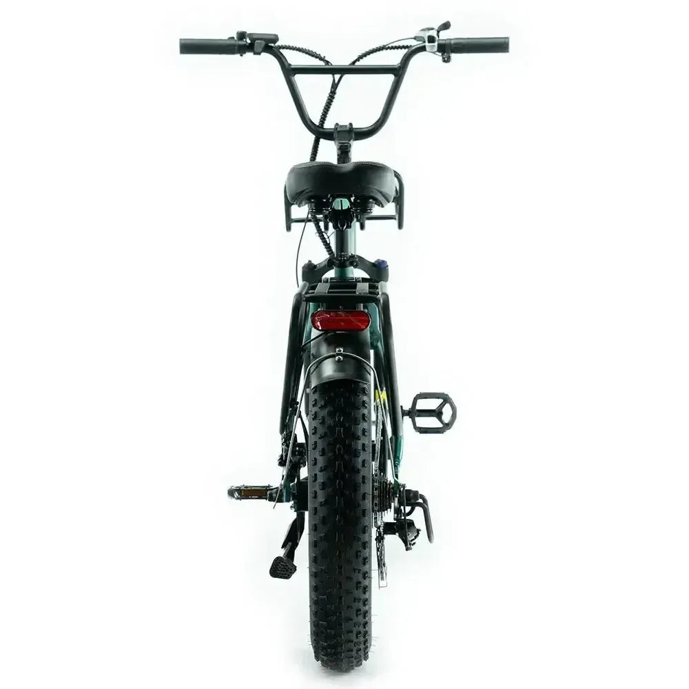 Combi-Deal! - ENGWE L20 Boost - Groen - fatbikeskopen.nl