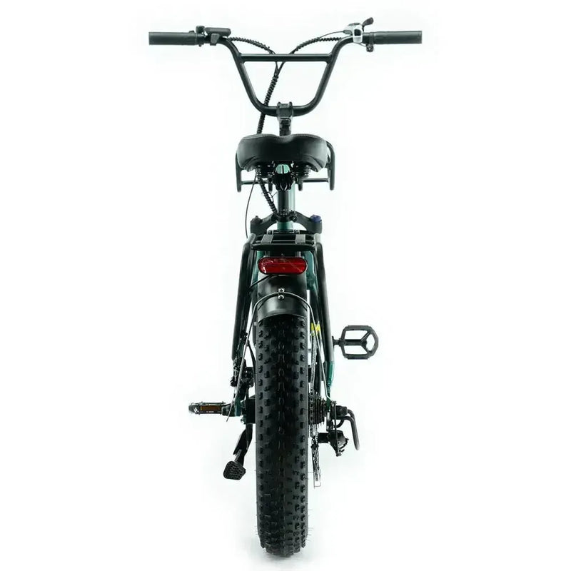 Combi-Deal! - ENGWE L20 Boost - Groen - fatbikeskopen.nl