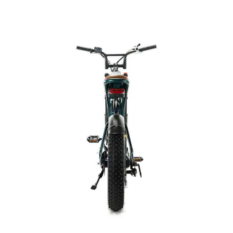 Combi-Deal! | ENGWE M20 - Dubbele Accu - Groen - fatbikeskopen.nl